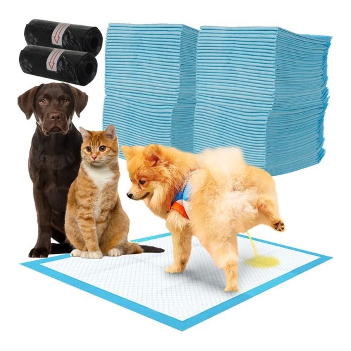 Absorberande träningsunderlägg, 100 st + bajspåsar