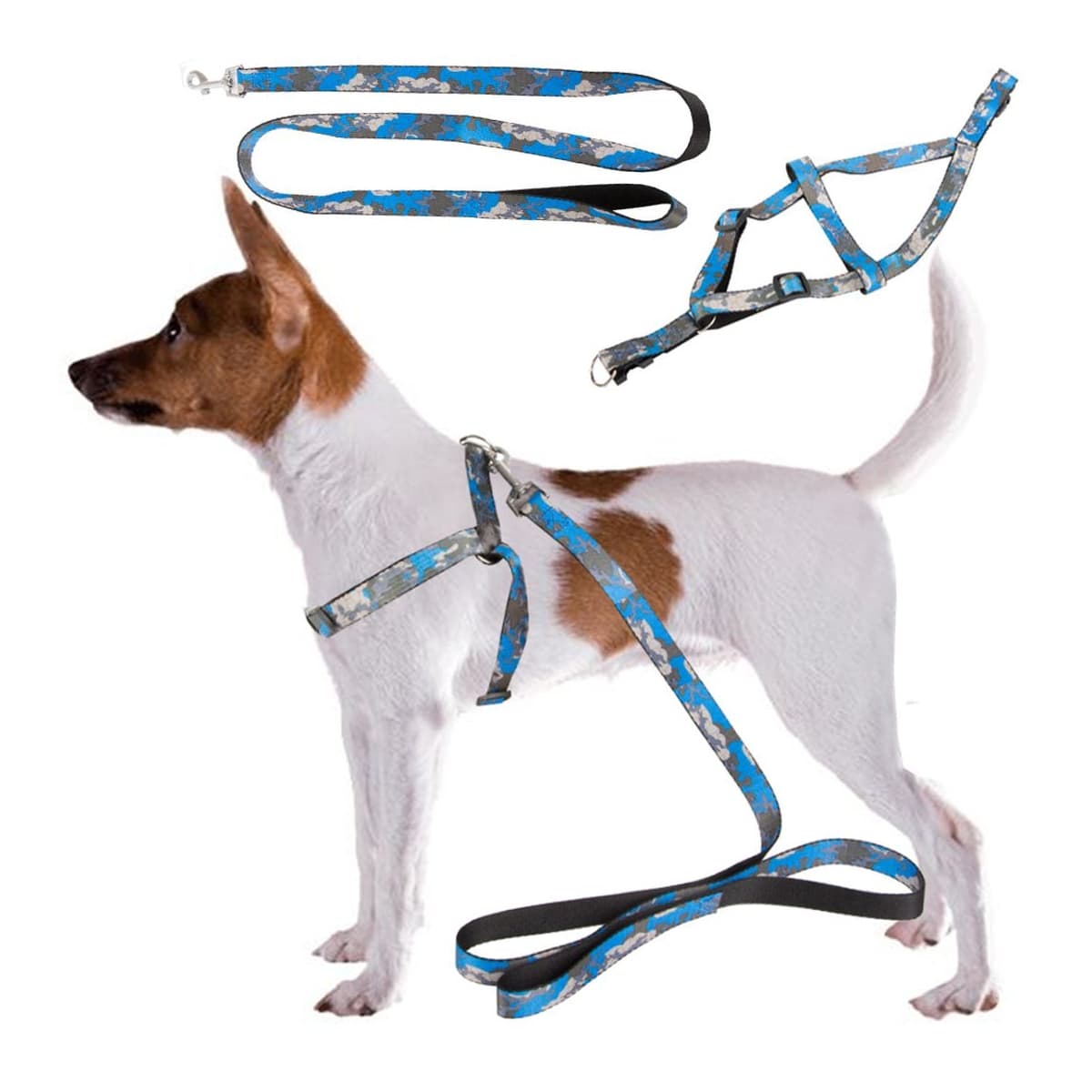 Hundsele med koppel, justerbar storlek M