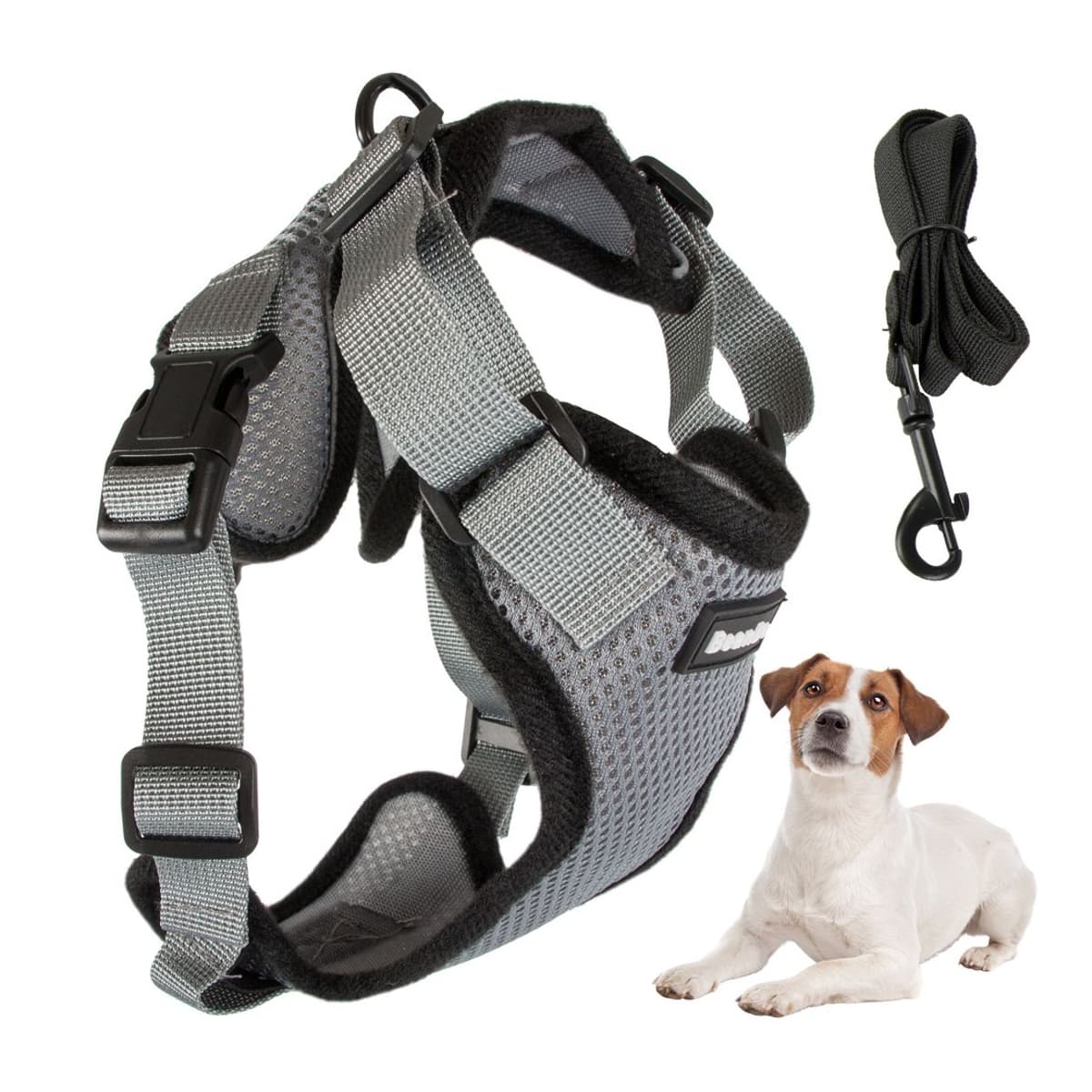 Hundsele med koppel, stl L, 150 cm