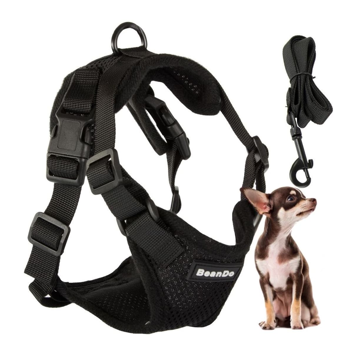 Hundsele med koppel, storlek S, 150 cm