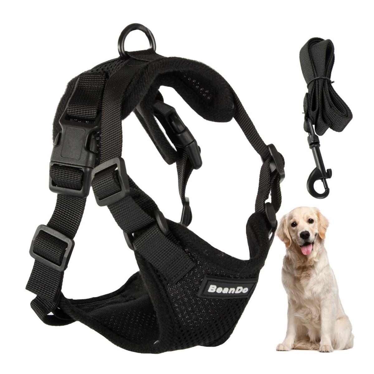 Hundsele med koppel, tryckfri, XL