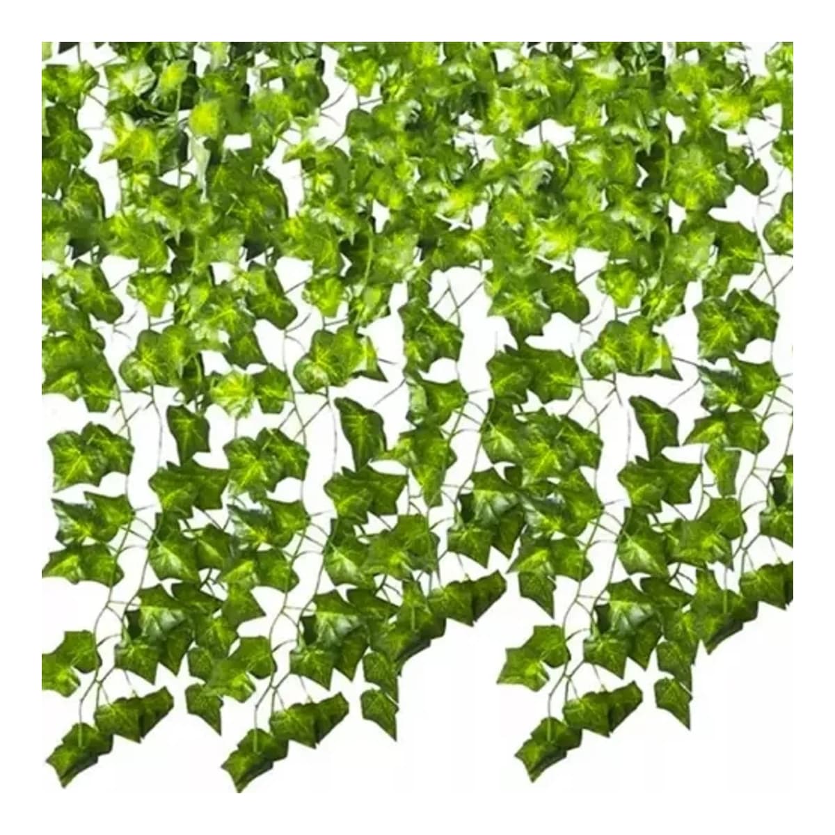 Konstmurgrönslinga 6,3 m med 81 blad