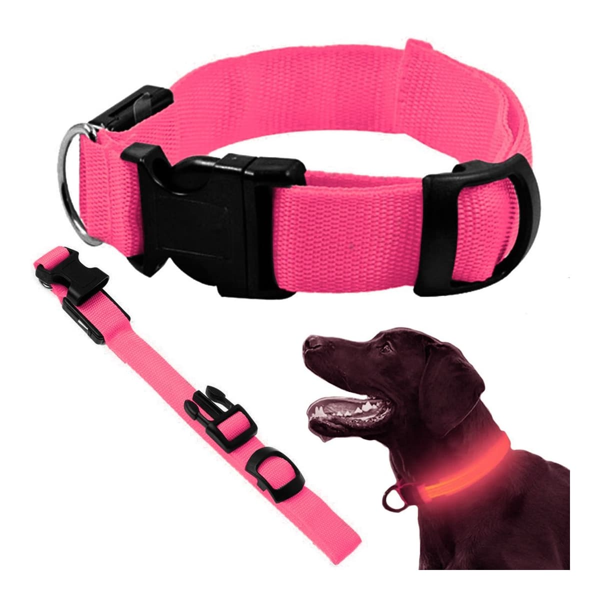 LED-halsband för hundar och katter, 36-59 cm