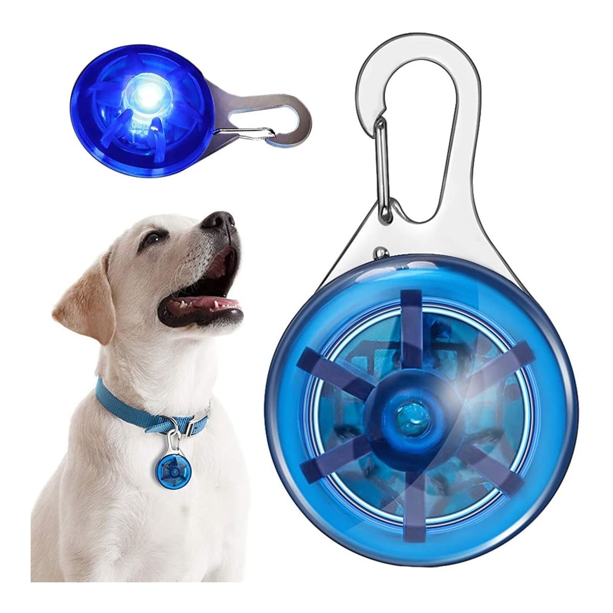 LED-ljus för hundkoppel, 5 cm, blå