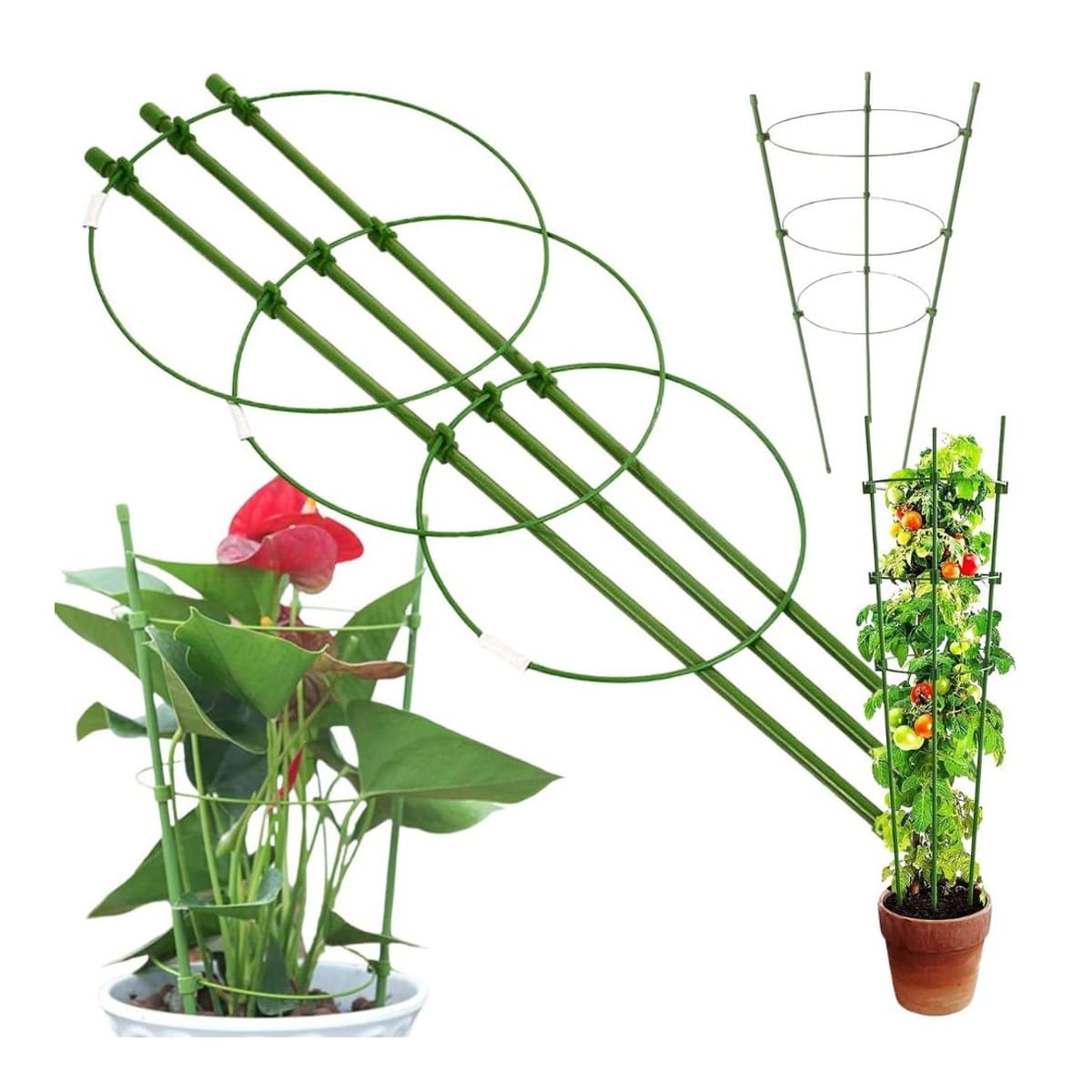 Växtstöd med 3 ringar, 60 cm